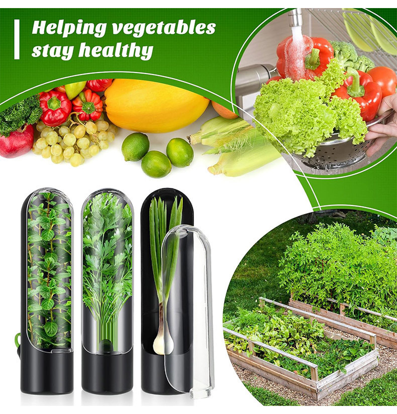 Herb Keeper Bottle - Butelka do przechowywania świeżych warzyw Herb