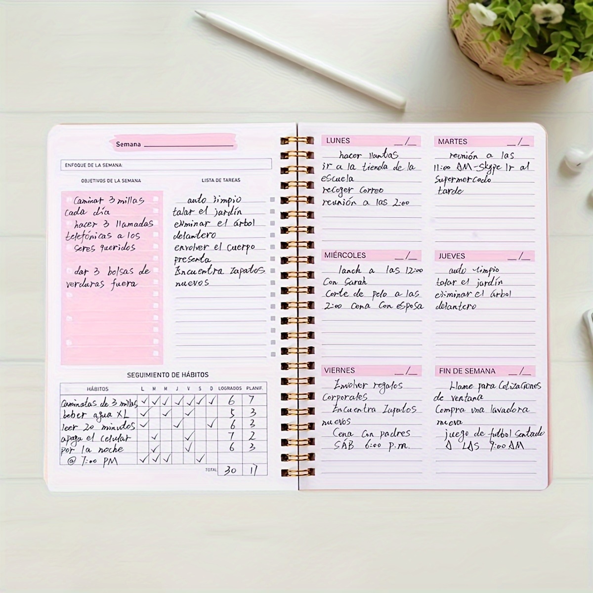 52-tymczasowy planer tygodniow – Meal Prep Planner recenzja i cena